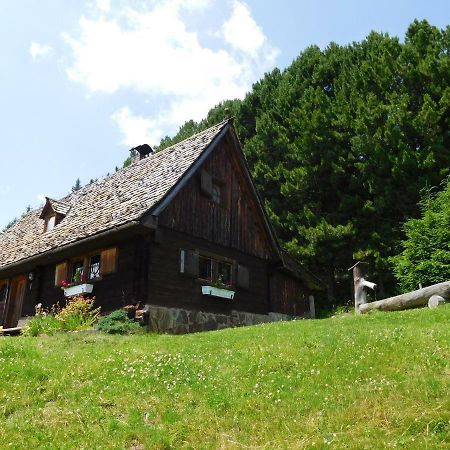 Almhuette Oedenhuebl Villa Sankt Wolfgang Buitenkant foto